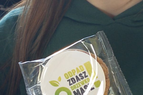 ODPAD ZDASZ, DRZEWKO MASZ