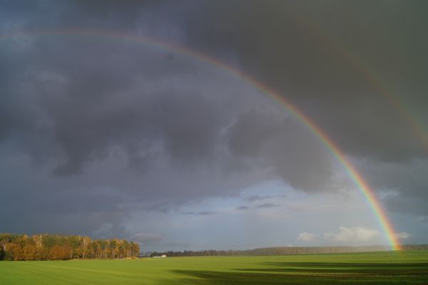 Kolory deszczu - praca Pawła