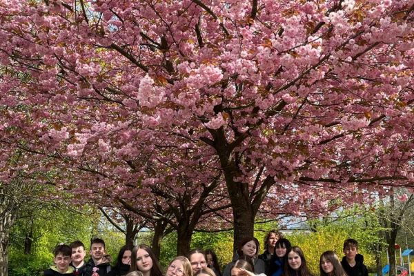 Spotkanie 8a z pisarką