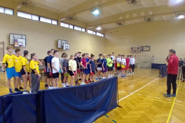 Tenis stołowy drużyny