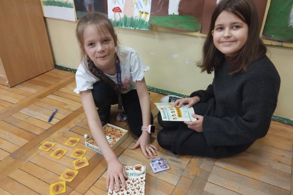 GRA PLANSZOWA KURNIK