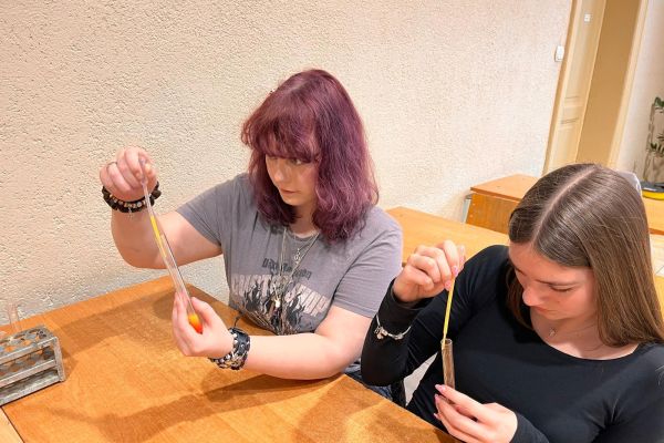 Klasa 8e na lekcji chemii w II Liceum Ogólnokształcącym