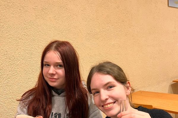 Klasa 8e na lekcji chemii w II Liceum Ogólnokształcącym