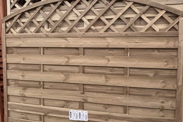 Nowe rośliny ozdobne