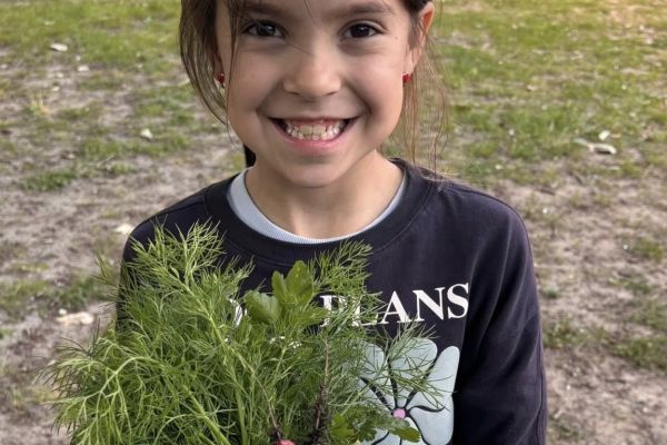 Z naszego szkolnego ogródka