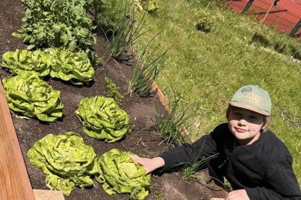 Z naszego szkolnego ogródka