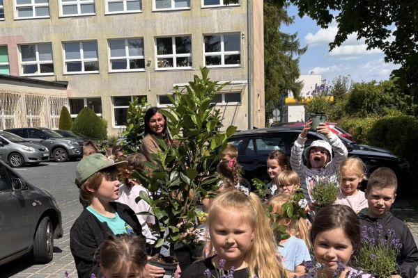 Z naszego szkolnego ogródka