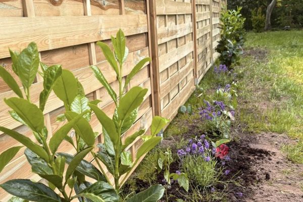 Nowe oblicze szkolnego ogrodu