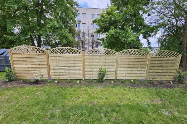 Nowe oblicze szkolnego ogrodu