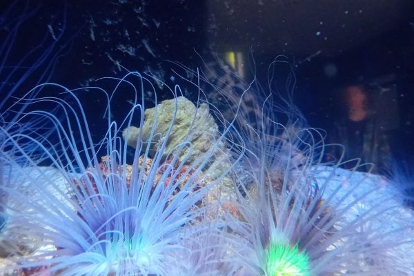 5d i 6a na wycieczce w Gdyni