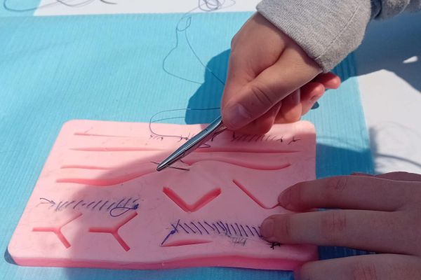 Piknik naukowy klasy 6a 