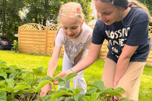 Zajęcia plastyczne w ogrodzie z EKOArt Team