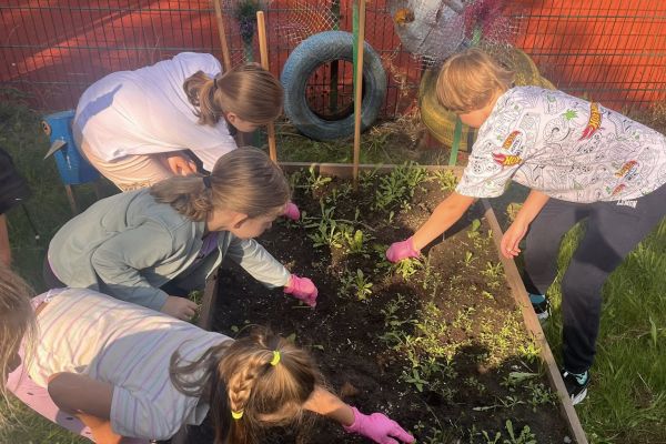 „Kolorowy ogródek – natura i sztuka w jednym” 