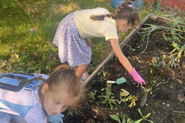 „Kolorowy ogródek – natura i sztuka w jednym” 
