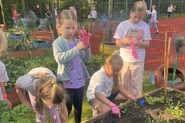 „Kolorowy ogródek – natura i sztuka w jednym” 