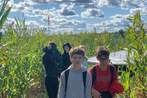 Wycieczka do Labiryntu Kukurydzy w Swarzewie!