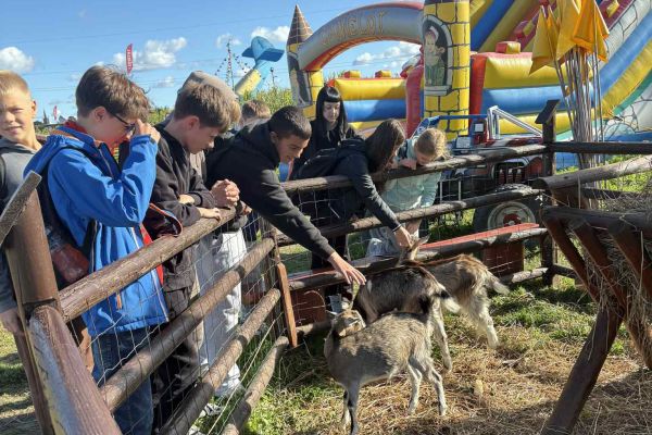 Wycieczka do Labiryntu Kukurydzy w Swarzewie!