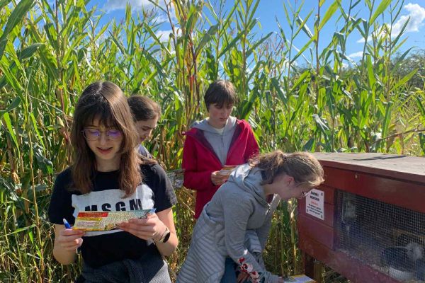 Wycieczka do Labiryntu Kukurydzy w Swarzewie!