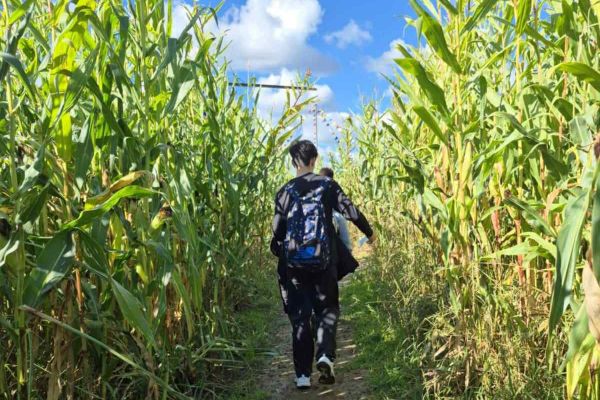 Wycieczka do Labiryntu Kukurydzy w Swarzewie!