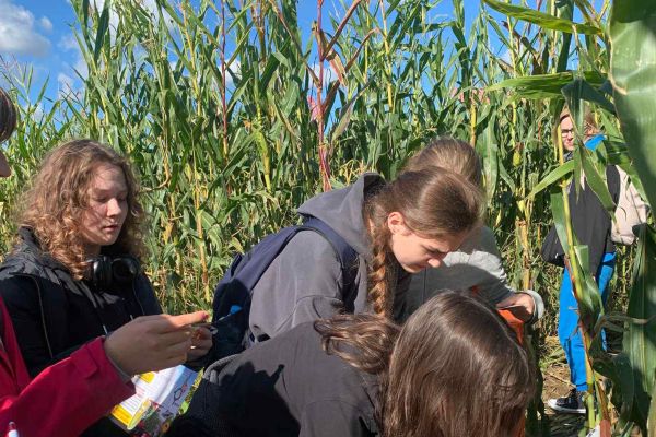Wycieczka do Labiryntu Kukurydzy w Swarzewie!