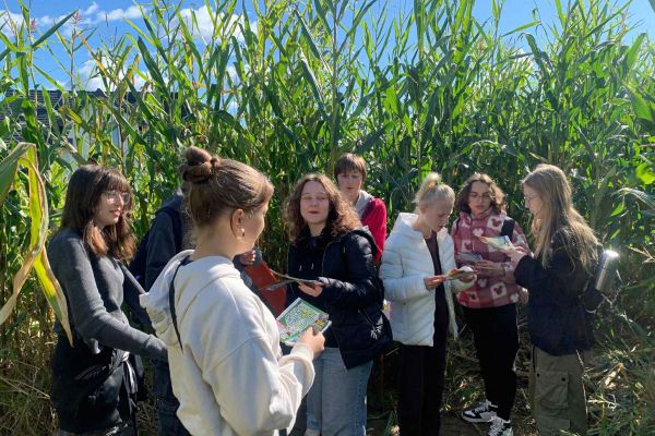 Wycieczka do Labiryntu Kukurydzy w Swarzewie!