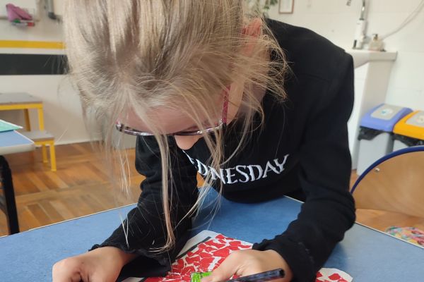 Edukacyjny tutoring rówieśniczy w klasie Id 