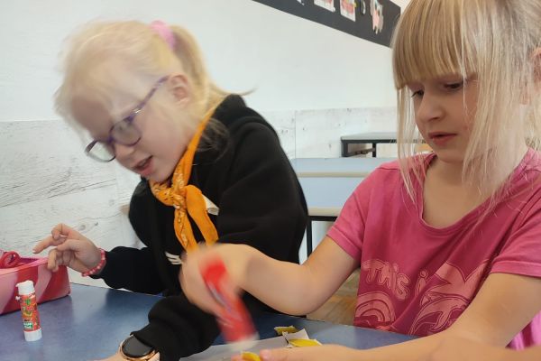 Edukacyjny tutoring rówieśniczy w klasie Id 