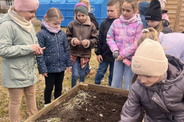 Kolorowy ogródek – przygotowania na wiosnę! 