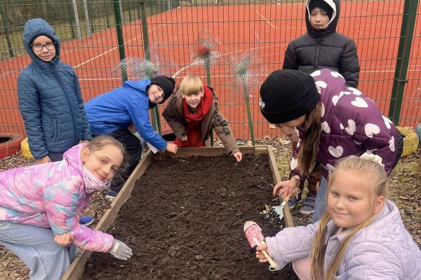 Kolorowy ogródek – przygotowania na wiosnę! 